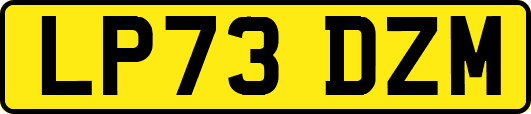 LP73DZM