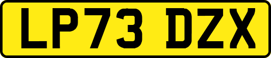 LP73DZX