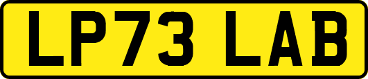LP73LAB
