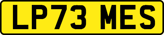 LP73MES