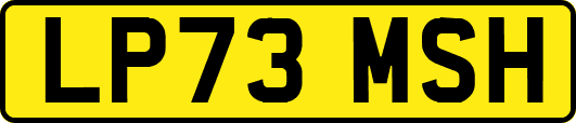 LP73MSH