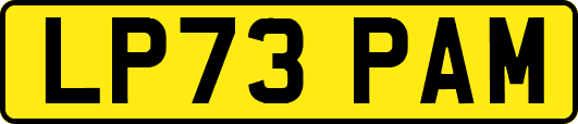 LP73PAM
