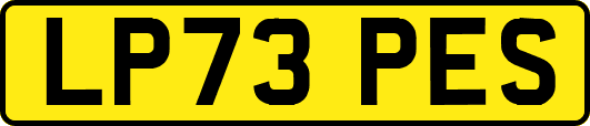 LP73PES