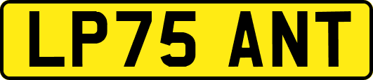 LP75ANT