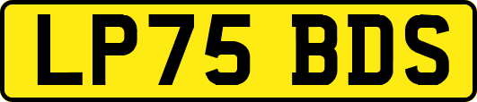 LP75BDS