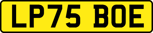 LP75BOE