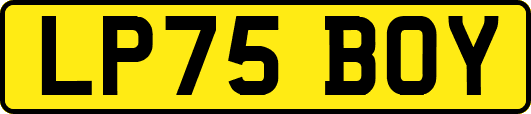 LP75BOY