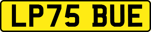LP75BUE
