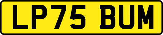 LP75BUM