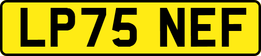 LP75NEF