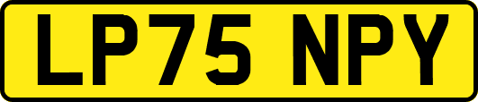LP75NPY