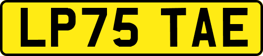 LP75TAE