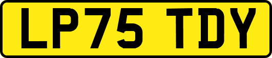 LP75TDY