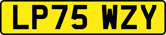 LP75WZY