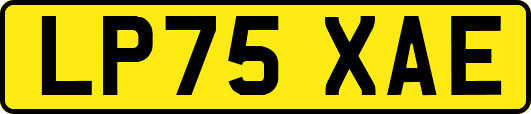 LP75XAE