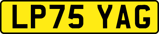 LP75YAG