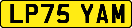 LP75YAM