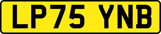 LP75YNB