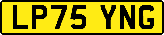 LP75YNG