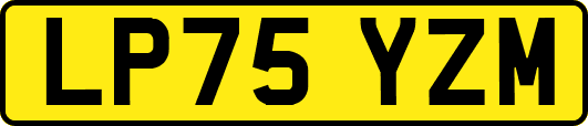 LP75YZM