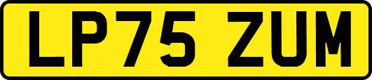 LP75ZUM