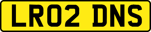 LR02DNS