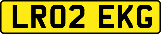 LR02EKG