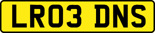 LR03DNS