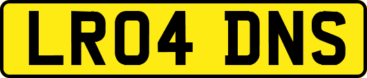 LR04DNS