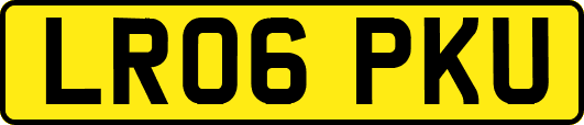 LR06PKU