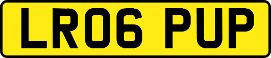 LR06PUP