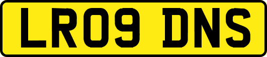 LR09DNS