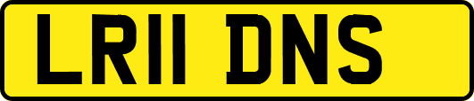 LR11DNS