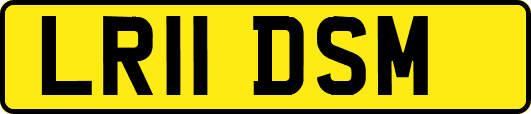 LR11DSM