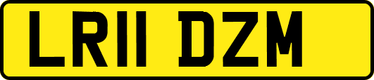 LR11DZM