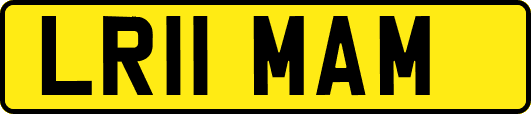 LR11MAM