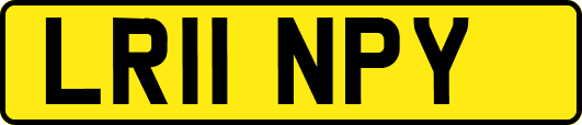 LR11NPY