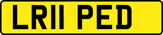 LR11PED
