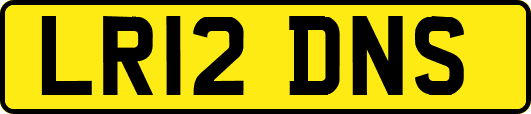 LR12DNS