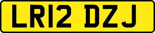 LR12DZJ