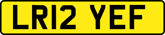 LR12YEF