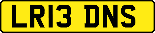 LR13DNS