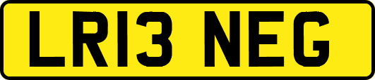 LR13NEG