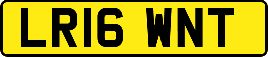 LR16WNT