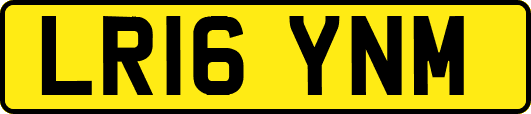 LR16YNM