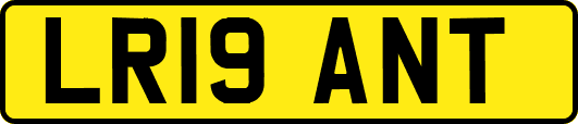 LR19ANT