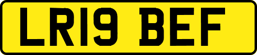 LR19BEF