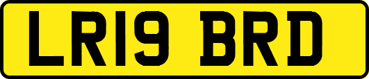 LR19BRD
