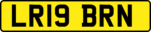 LR19BRN