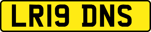 LR19DNS